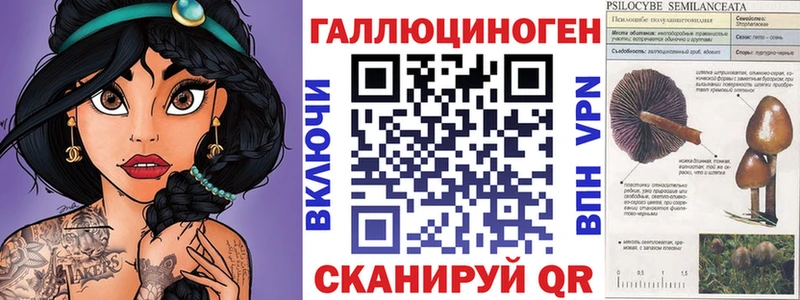 Псилоцибиновые грибы Psilocybine cubensis  Купить где  Черногорск 