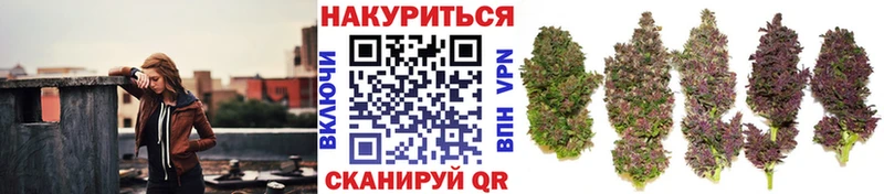 МАРИХУАНА гибрид  Купить закладки  Черногорск 